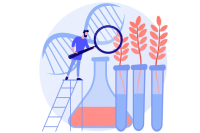 Mutfak Yağlı Atık Yönetimi