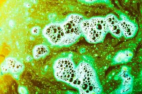 Bakterilerin Yağ Tutucuya Etkisi